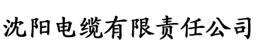 欧美亚洲国产中文日韩一区二区电缆厂logo